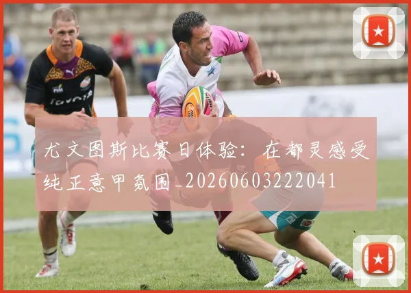 尤文图斯比赛日体验：在都灵感受纯正意甲氛围_20260603222041