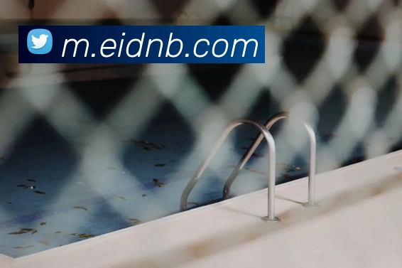 平台展示图